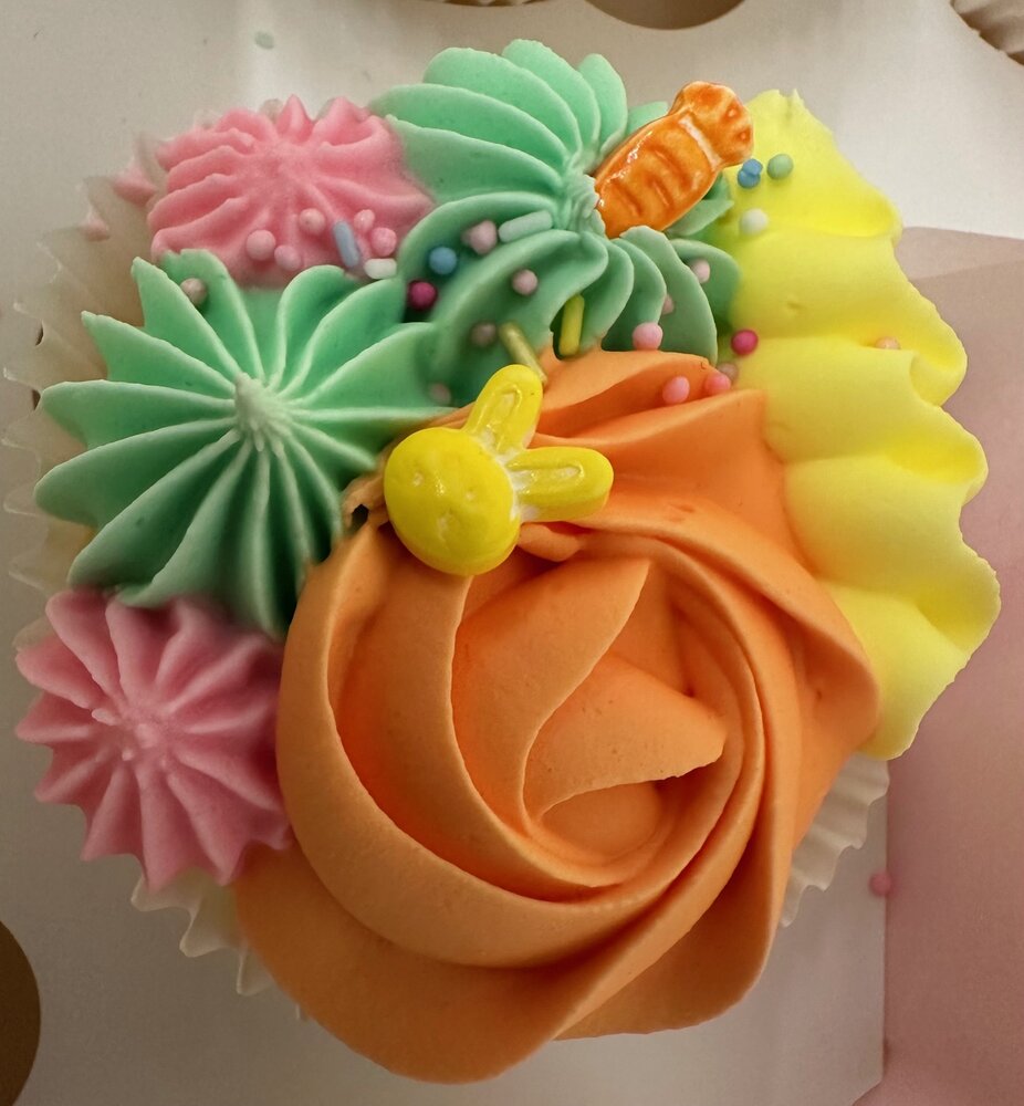 Workshop Bento Cake &amp; Cupcakes Box