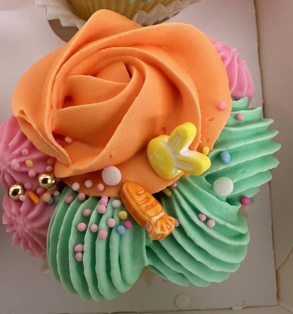 Workshop Bento Cake &amp; Cupcakes Box