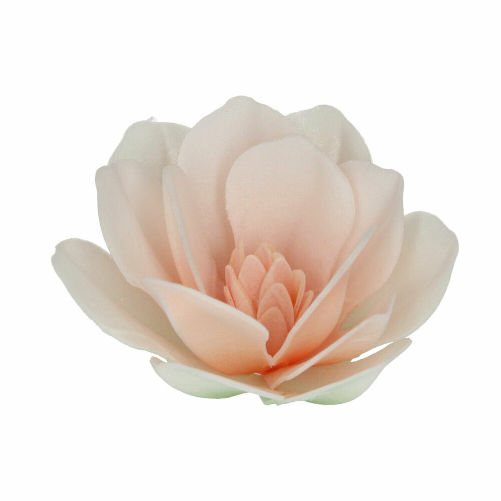 FunCakes Eetbare Papieren Bloemen Deluxe Magnolia Wit Groot pk/6