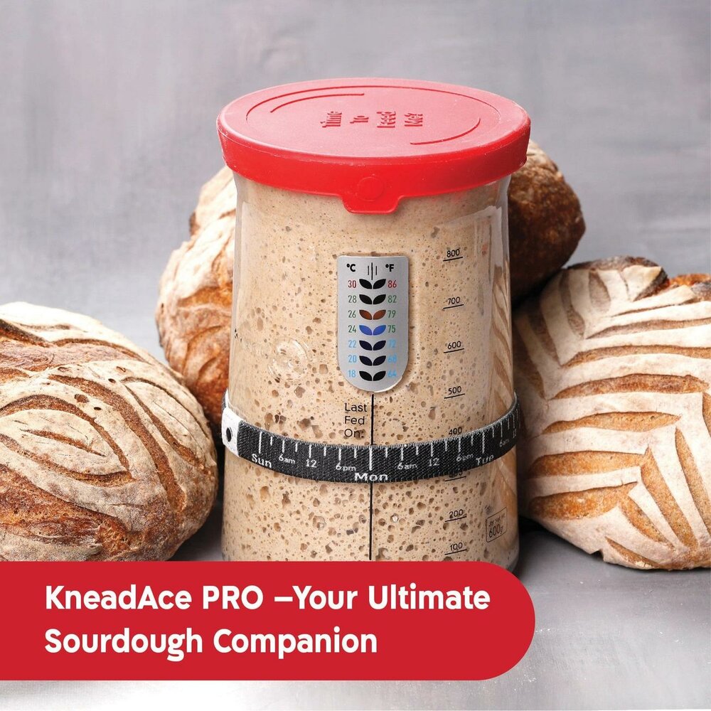 KneadAce&reg; PRO Bocal &agrave; Levain 1L 