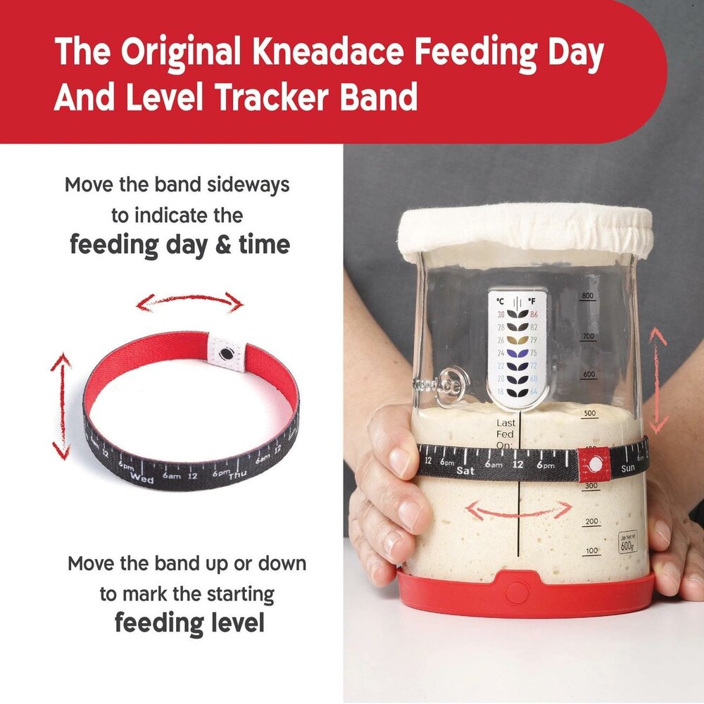 KneadAce&reg; PRO Bocal &agrave; Levain 1L 