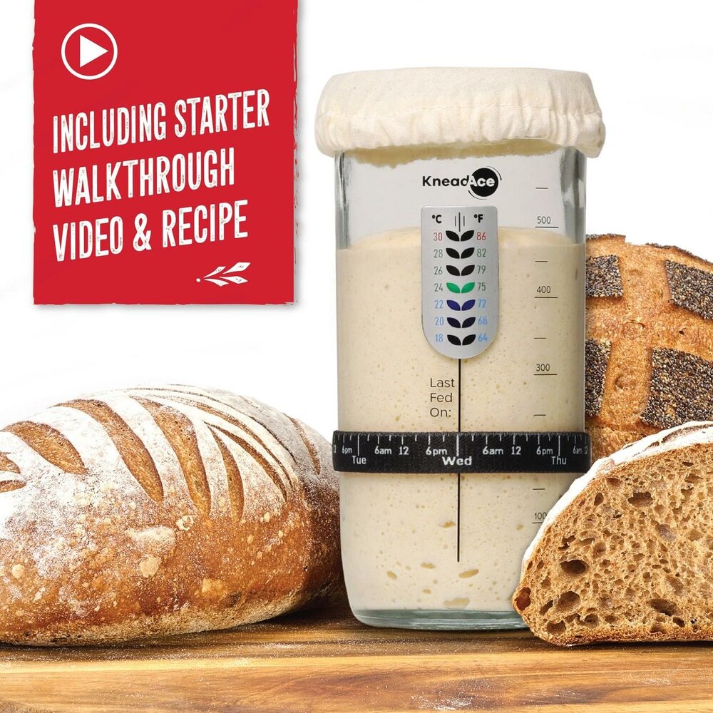 KneadAce&reg; 700 ml Desemstarterpot