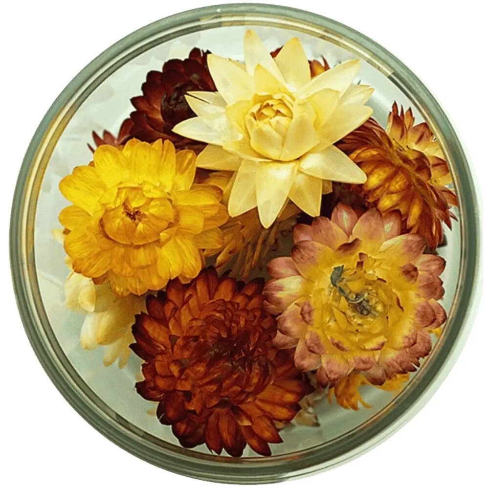 Rosie Rose Edible Dried Flowers &ndash; 15 Pieces