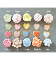 ScrapCooking Natural Food Colouring Powder Sage 10 g