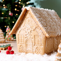 PME Kerst Koekjesuitstekers &amp; Stempels Peperkoekhuis &ndash; Set/3