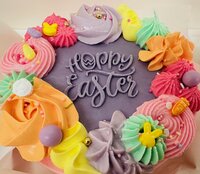 Workshop Bento Cake &amp; Cupcakes Box