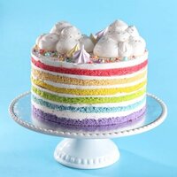 Magic Colours - Neon Paars Kleurstof 32g