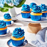 FunCakes Fondant Bella Blue 250 g