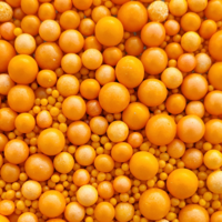 Tasty Me Sugar Pearls Sprinkles Mix Orange &ndash; 70 g &ndash; Glutenvrij