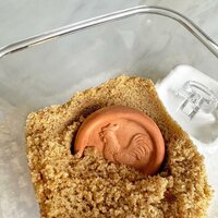 R&amp;M Brown&nbsp;Sugar Saver&nbsp;