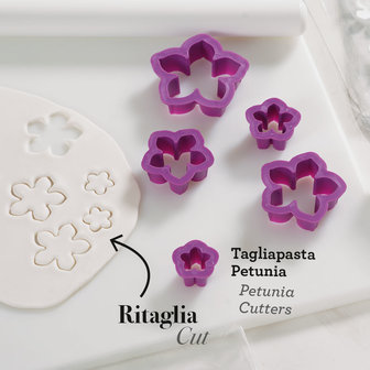 Decora Uitstekers Petunia Set/5