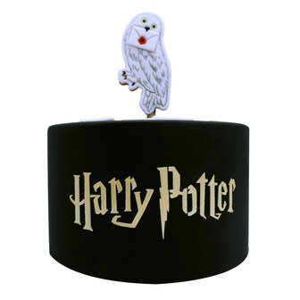 PME Harry Potter Taartsjabloon