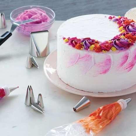Wilton How To Decorate Cakes & Desserts Kit