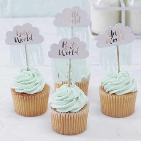 Ginger Ray Hello World Rose Gold Mint Cupcake Toppers pk/10