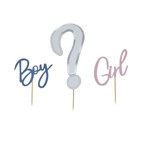 Hootyballoo Gender Reveal Cake Topper Set/3