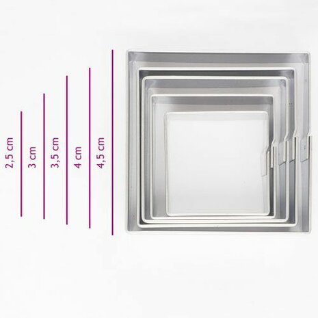 Cookie Cutter Square set/5