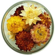 Rosie Rose Edible Dried Flowers &ndash; 15 Pieces
