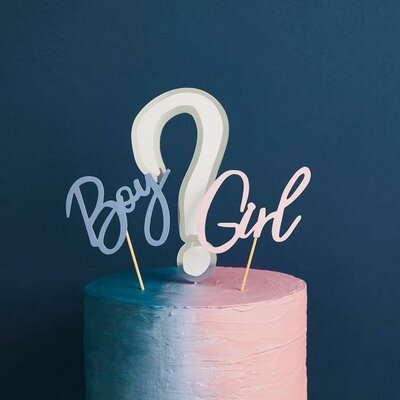 Hootyballoo Gender Reveal Cake Topper Set/3